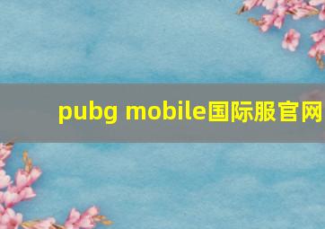 pubg mobile国际服官网